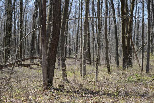 Location Image 4