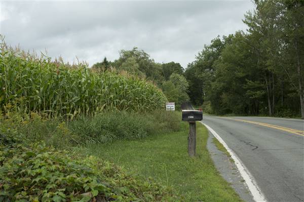 Location Image 5