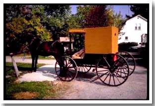 AMISH BUGGY, LAWRENCE COUNTY