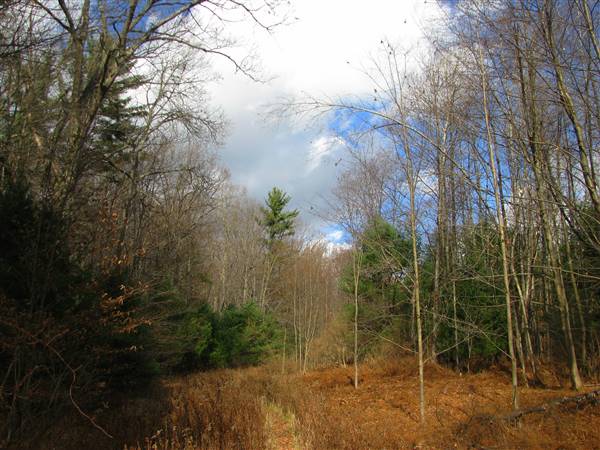Location Image 5