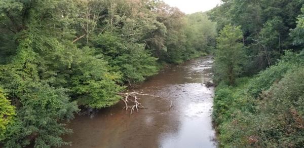Location Image 5