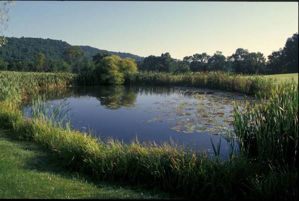 Location Image 3