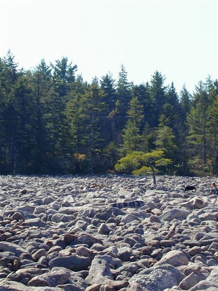 Location Image 3